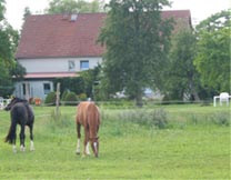 Blick vom See auf das Haus